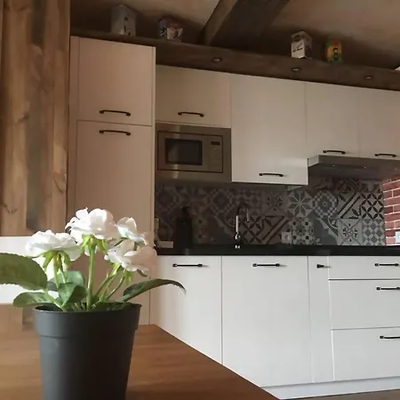 Luxury Danna Plaza Mayor Apartment